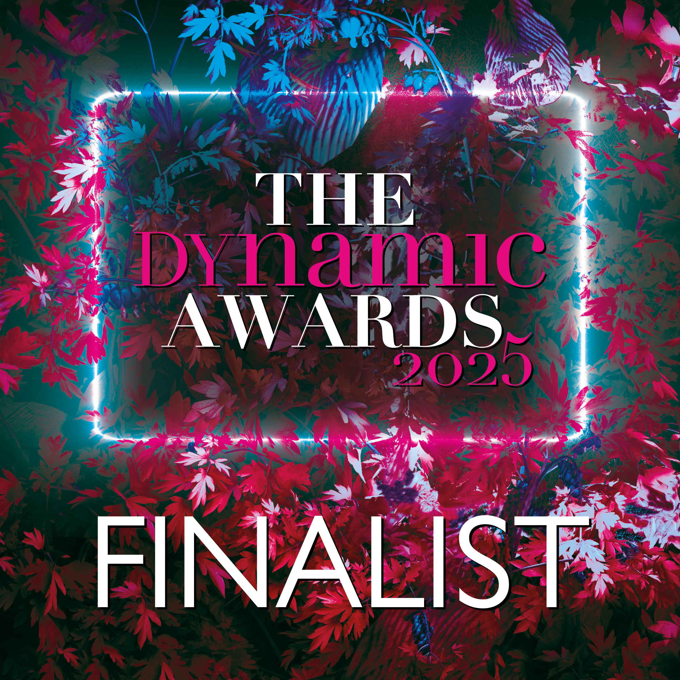 The Dynamic Awards 2025 - Community Hero (Finalist)