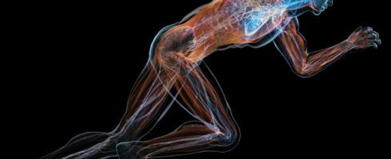 Does Sports Massage Improve Athletic Performance?