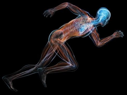 Does Sports Massage Improve Athletic Performance?