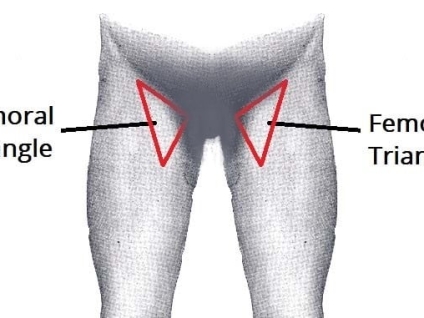 Femoral Massage