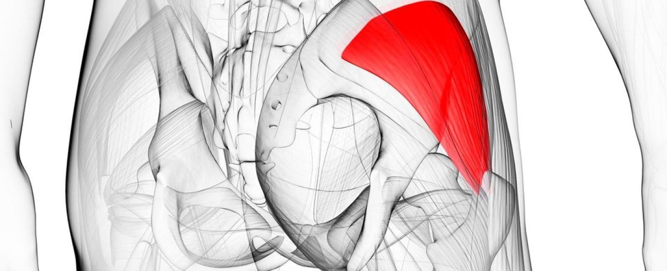 Gluteus Minimus