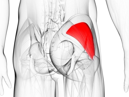 Gluteus Minimus