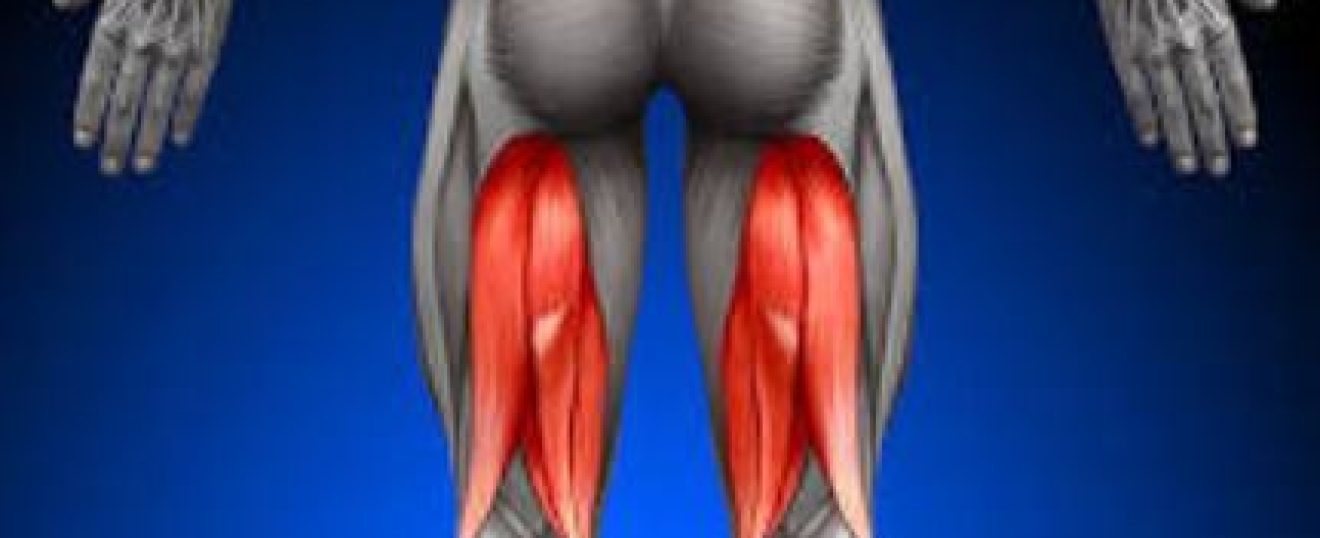 Hamstrings