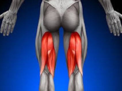 Hamstrings