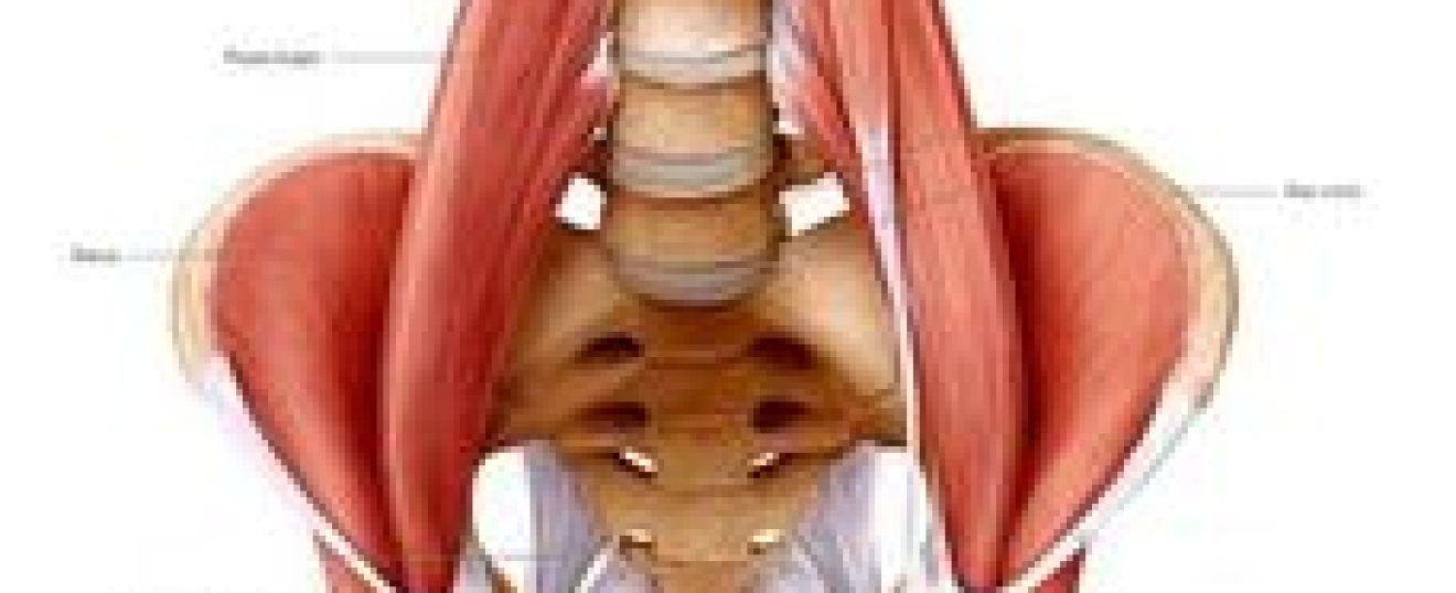 Hip Flexor Muscles and Injuries