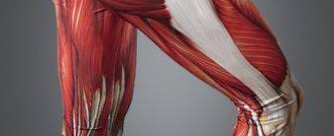 IT Band Syndrome and Lateral Knee Pain