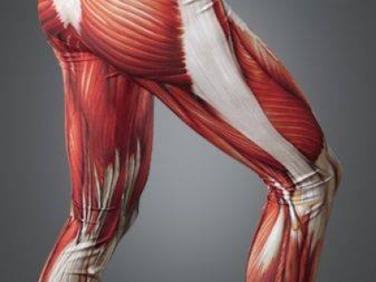 IT Band Syndrome and Lateral Knee Pain