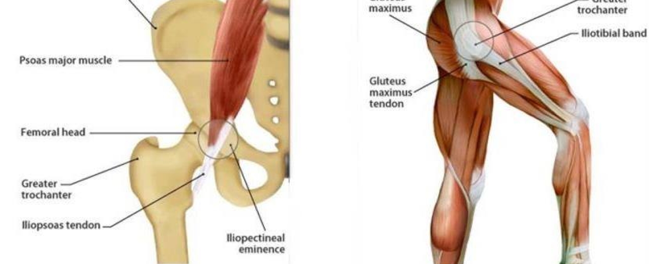 Snapping Hip Syndrome