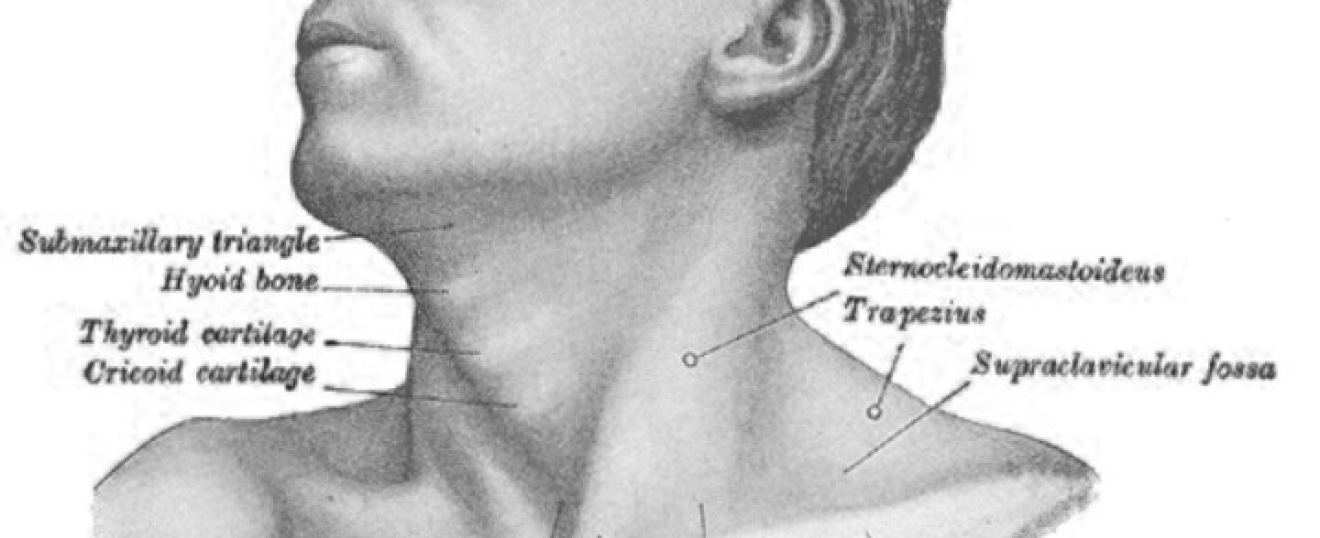 Massage for Torticollis