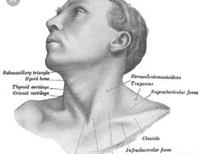 Massage for Torticollis