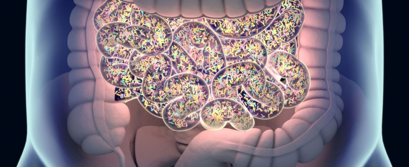 Small Intestinal Bacterial Overgrowth