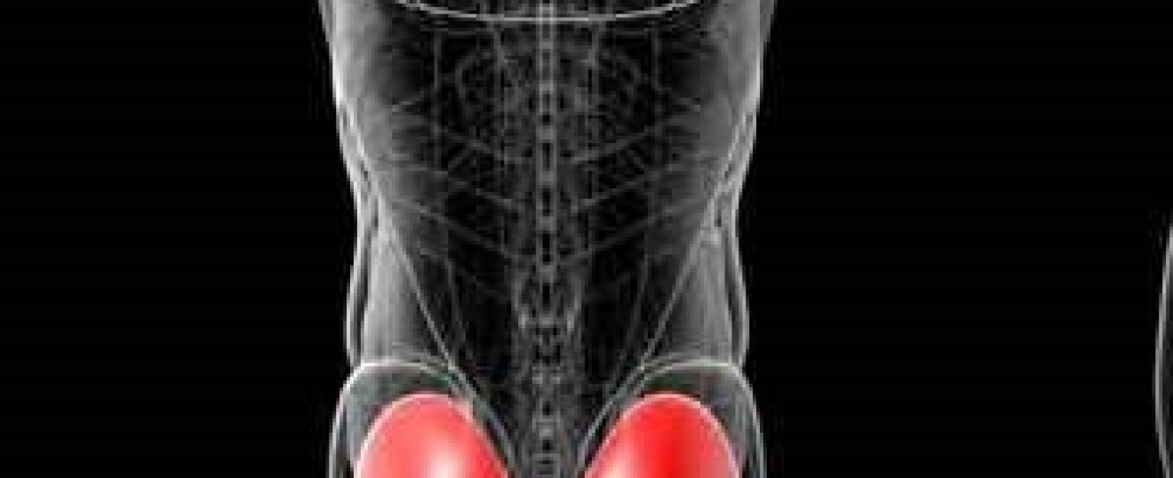 Gluteal Injuries - A Pain the Arse