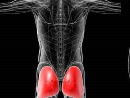 Gluteal Injuries - A Pain the Arse