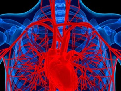 Is Hypertension a Contraindication or Not?