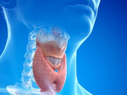 Massage for Thyroid Problems