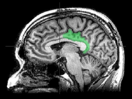 How Trauma Impacts Our Memories