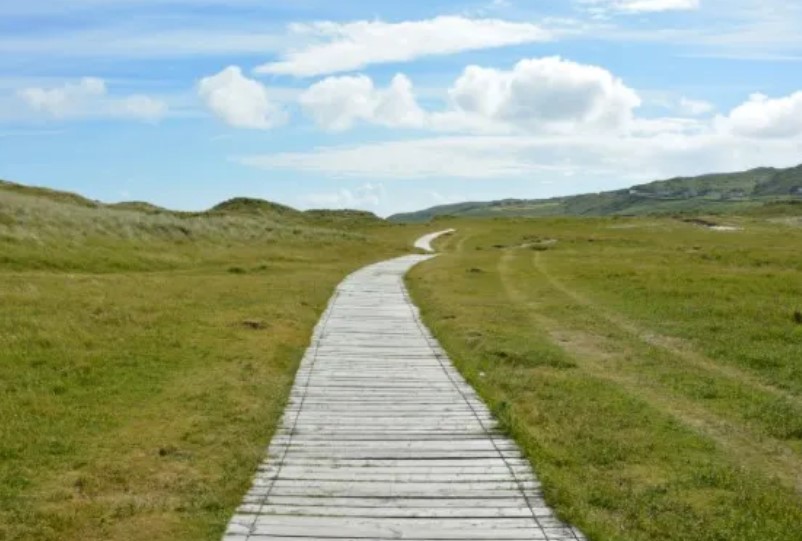 Following Somebody Else's Path. (Substack July 2026)