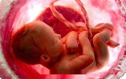fertility2
