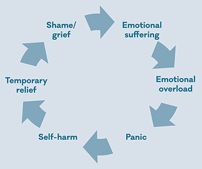 self harmcycle 1