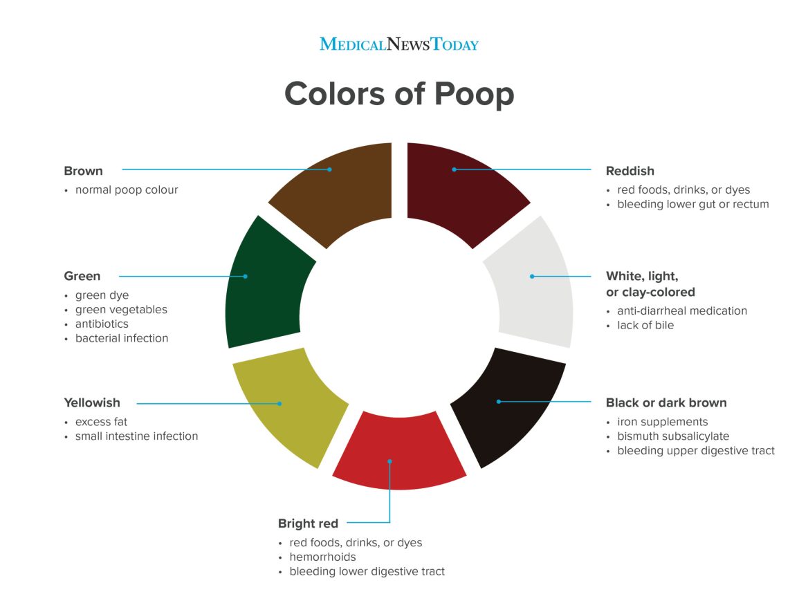 Colors of poop ver5 scaled