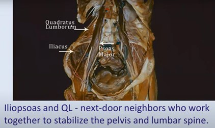PSOASQL6