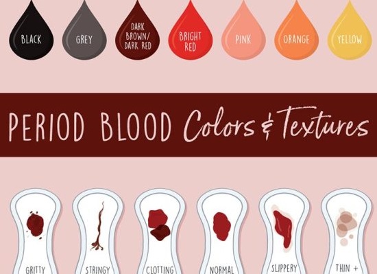 PeriodBloodInfographic 880px