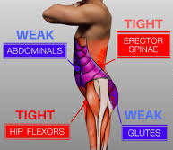 antpelvictilt2