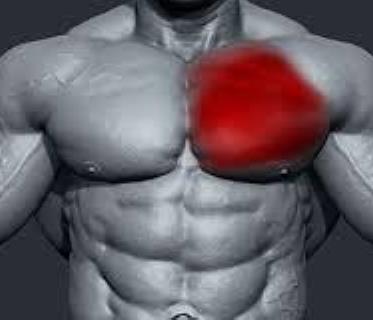 bodybuildinginjury3