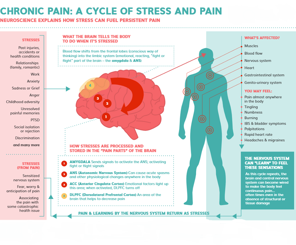 chronicpain2