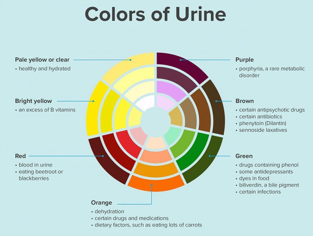coloursofurine