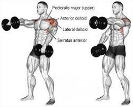 deltoid8frontraise