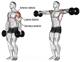 deltoid9lateralraise