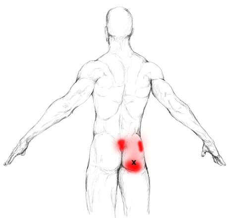 glutemax2