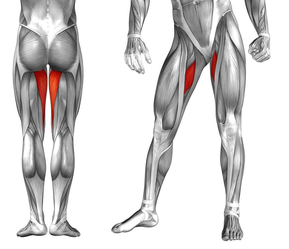 groin4