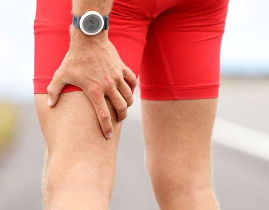 hamstring2