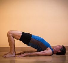 hipflex14bridge