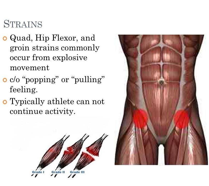 hipflex4