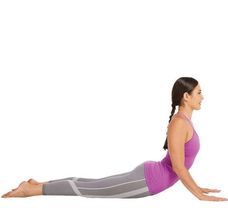hipflex8cobra