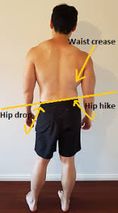 latpelvictilt2