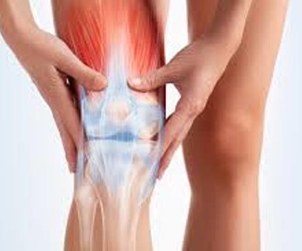 meniscus1