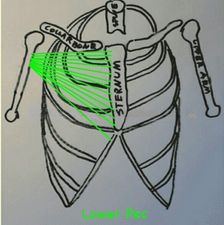 pecgap2