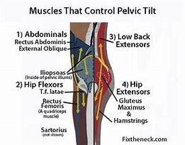 pelvictilt2