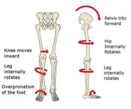 pelvictilt6