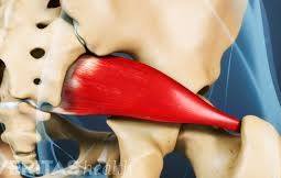 piriformissyndrome3