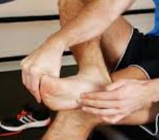 plantarf3