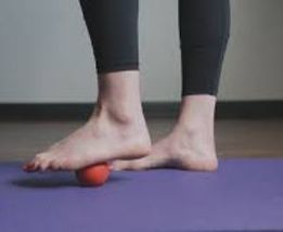 plantarf4