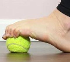 plantarf6