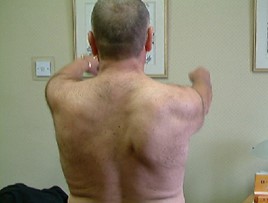 wingedscap7