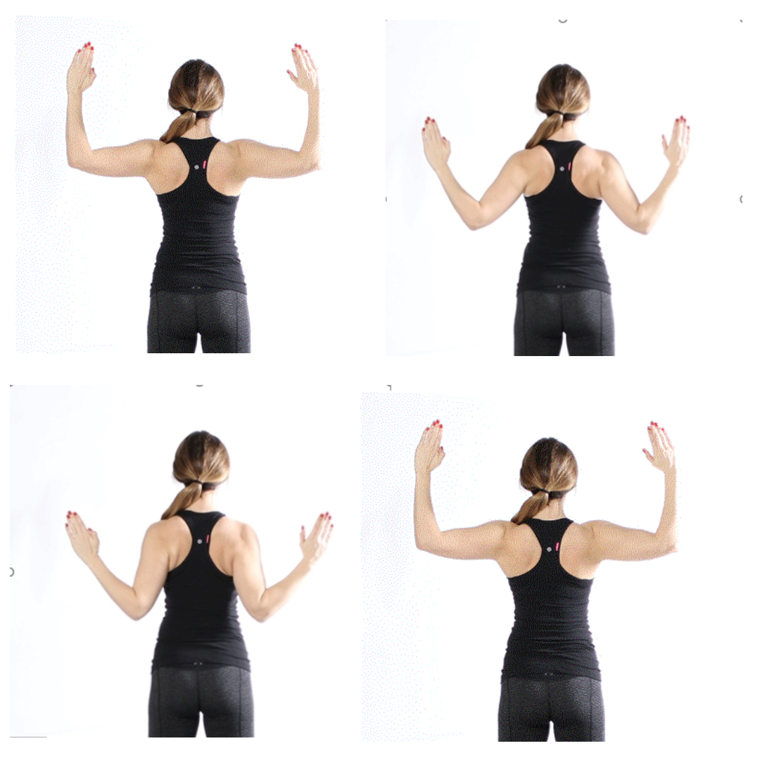 wingedscapulaexercises